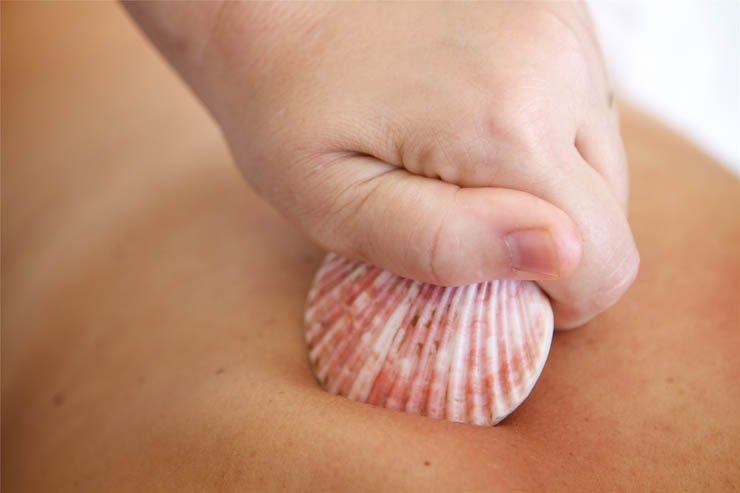 shell body massage