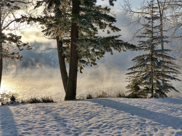 snow snowy winter ice fog tree trees water river lake