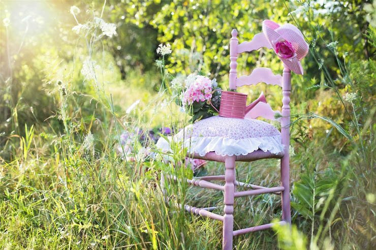 summer sunny sun chair girly plant flower flowers plants pink park garden