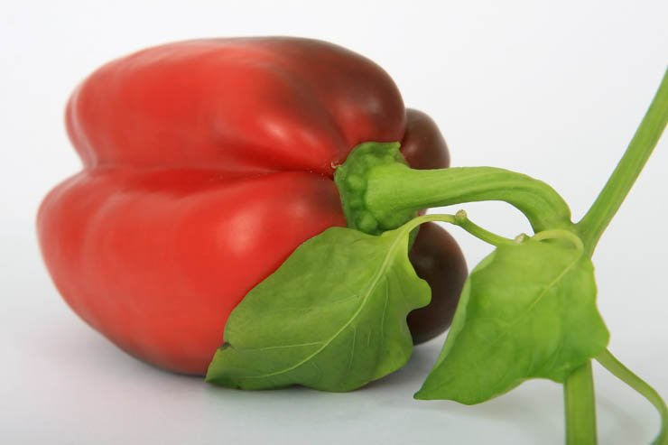 vegetable vegetables food health eat healthy pepper bell