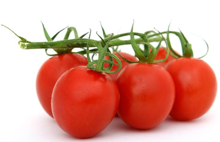 vegetable vegetables food health eat healthy tomato tomatos