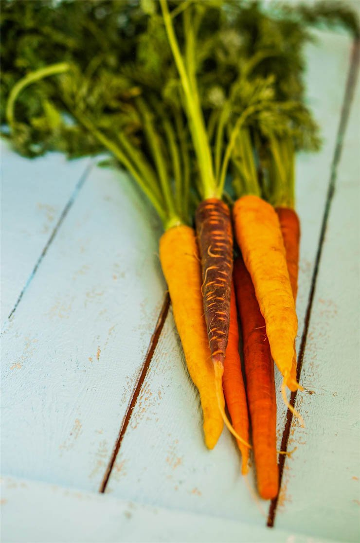 vegetable vegetables salad health healthy food diet eat restaurant carrot carrots table