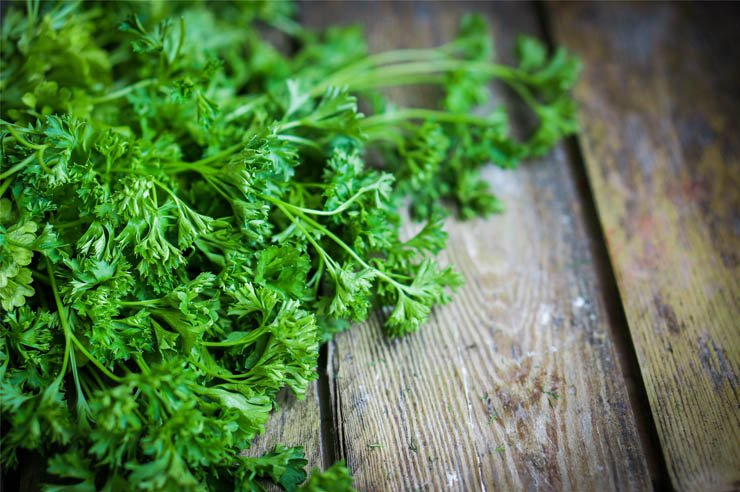 vegetable vegetables salad health healthy food diet eat restaurant kitchen herb herbs table wood wooden