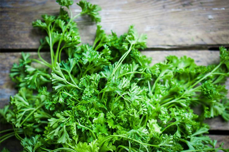 vegetable vegetables salad health healthy food diet eat restaurant table kitchen herb herbs