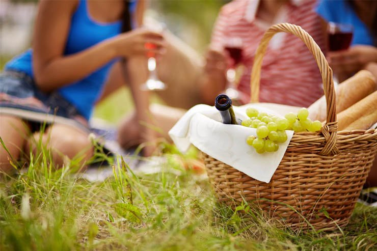 wine champagne alcohol alcoholic bar pub restaurant glass drink drinks picnic grapes bread food date summer grass