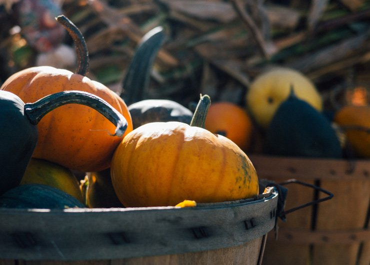 food carving halloween scary holidays holiday pumpkin spooky bucket