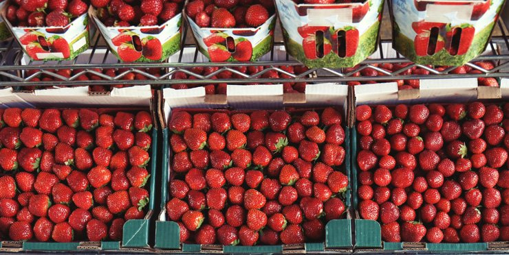 fruit fruits food foods box boxes strawberry market