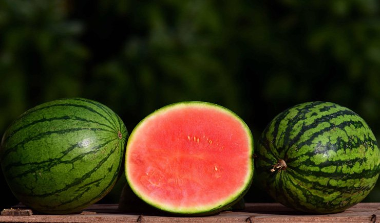 fruit fruits food foods healthy health diet watermelon