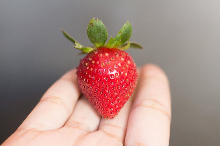 fruit fruits food foods hold holding strawberry hand