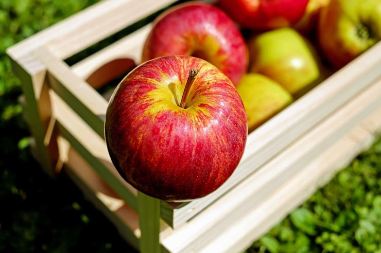 fruit fruits food foods wood wooden box basket apple apples garden