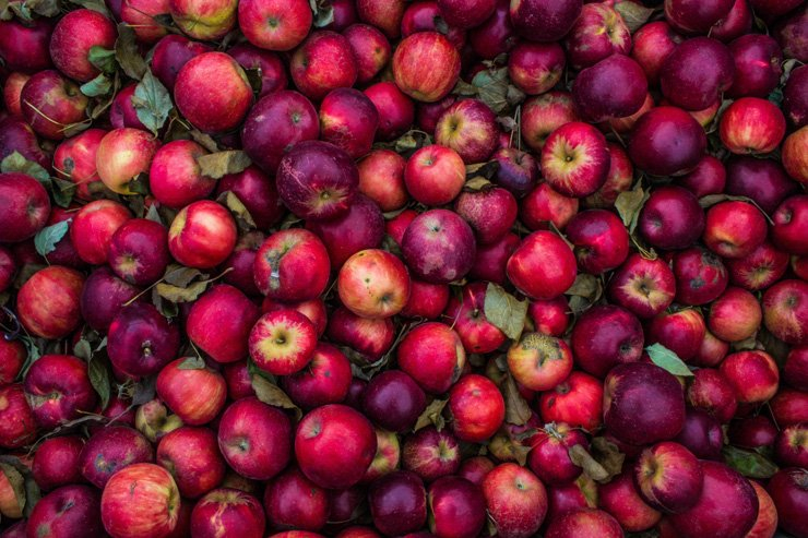 fruit fruits food health healthy vitamin apples vitamins apple