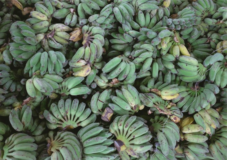 fruit fruits food health healthy vitamin vitamins banana foods