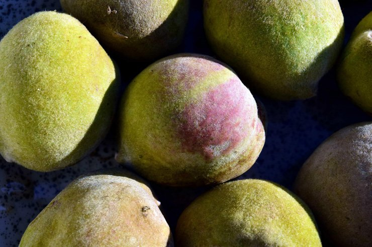 fruit fruits food health healthy vitamin vitamins fig figs