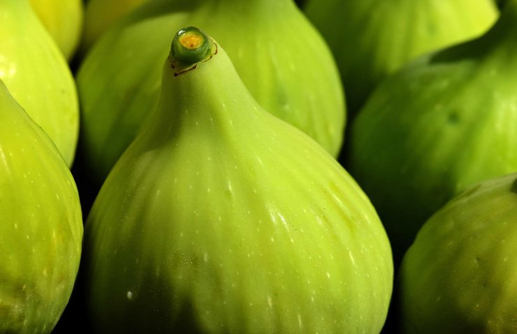 fruit fruits food health healthy vitamin vitamins fig figs foods