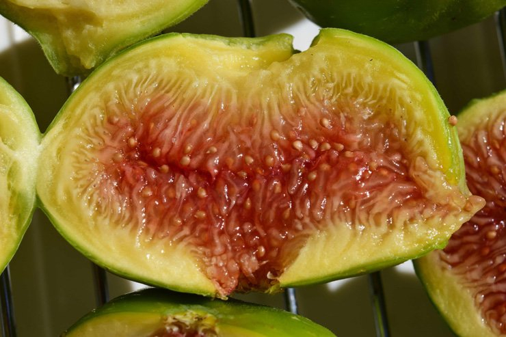 fruit fruits food health healthy vitamin vitamins fig piece