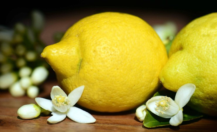 fruit fruits food health healthy vitamin vitamins flower lemon diet