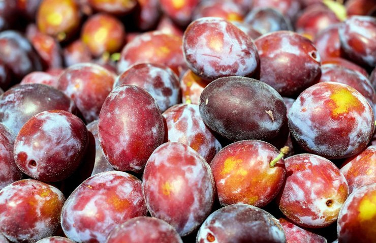 fruit fruits food health healthy vitamin vitamins grapes foods
