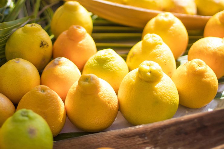 fruit fruits food health healthy vitamin vitamins lemon detox