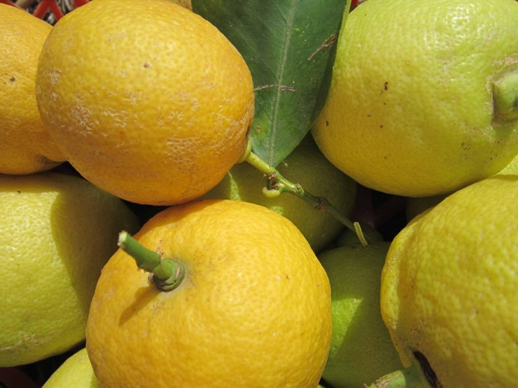fruit fruits food health healthy vitamin vitamins lemon diet detox