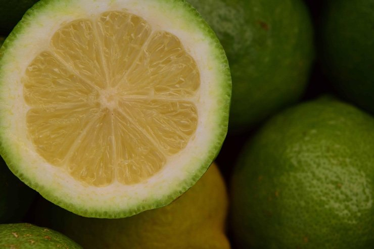fruit fruits food health healthy vitamin vitamins lemon lime slice diet