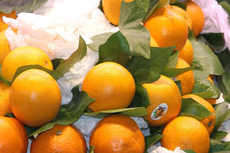 fruit fruits food health healthy vitamin vitamins orange oranges