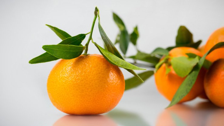 fruit fruits food health healthy vitamin vitamins tangerine leaves