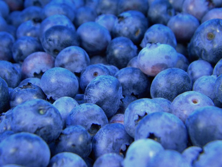fruit fruits food healthy health berry blueberry