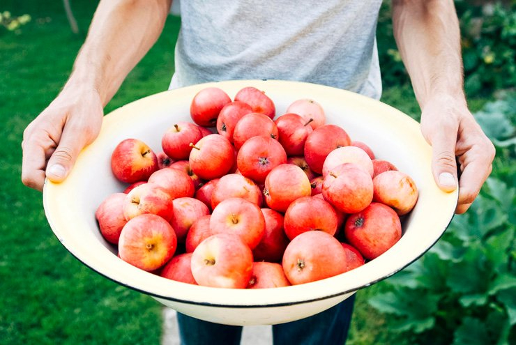 fruit fruits food healthy health diet apple apples garden hold holding bowl