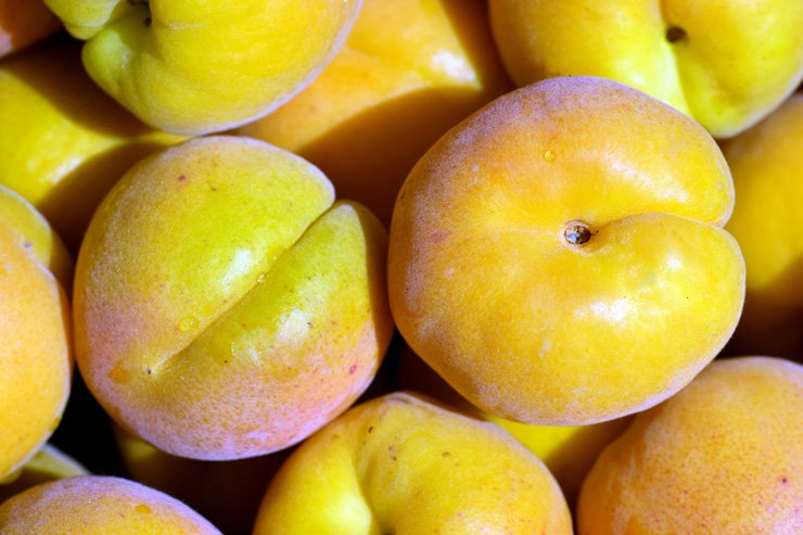 fruit fruits food healthy health diet apricot foods vitamins