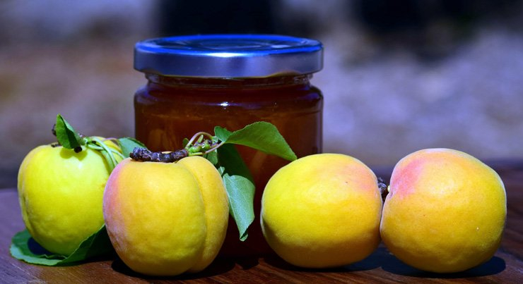 fruit fruits food healthy health diet apricot jam