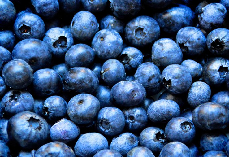 fruit fruits food healthy health diet blueberry