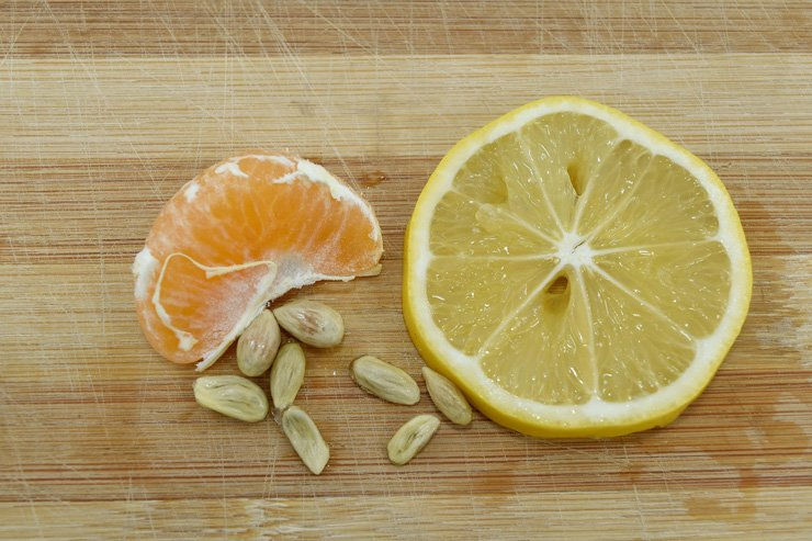 fruit fruits food healthy health diet lemon tangerine piece slice seed