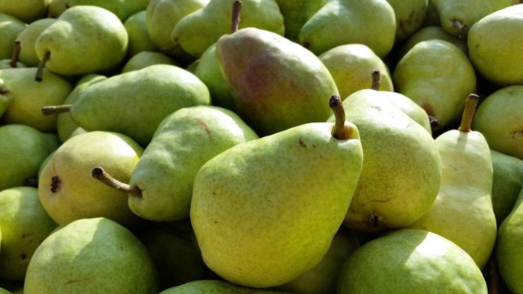 fruit fruits food healthy health diet pears foods