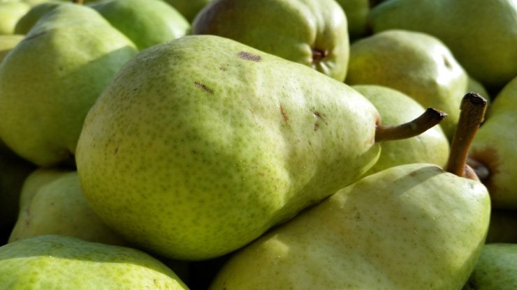 fruit fruits food healthy health diet pears pear