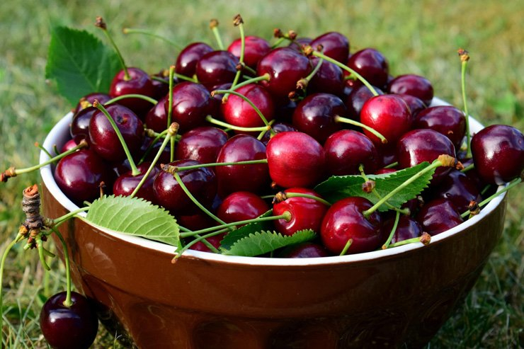 fruit fruits food healthy health diet pot cherry
