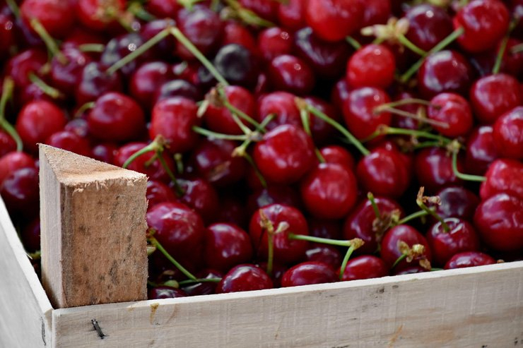 fruit fruits food healthy health diet raspberry