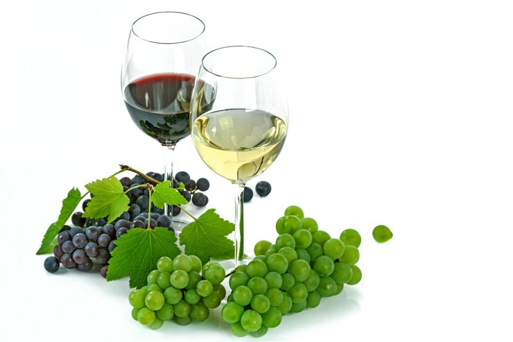 fruit fruits food healthy health diet red wine grapes