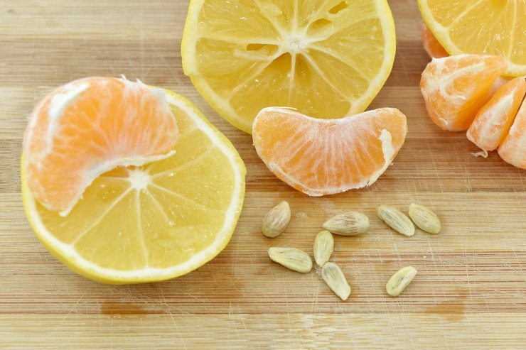 fruit fruits food healthy health diet tangerine lemon seed
