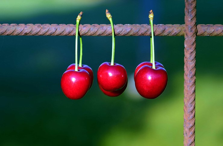 fruit fruits food healthy health diet vitamin cherry