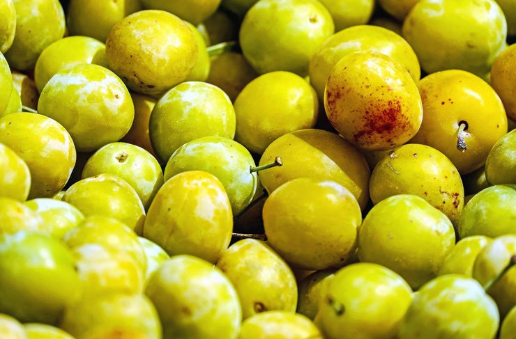 fruit fruits food healthy health diet vitamin olive