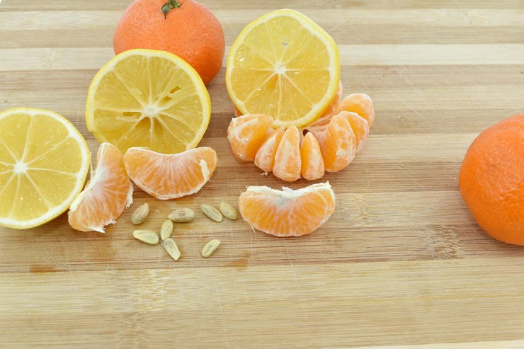 fruit fruits food healthy health diet vitamin tangerine seed lemon wood