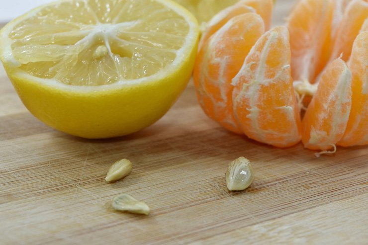 fruit fruits food healthy health diet wood tangerine lemon seed
