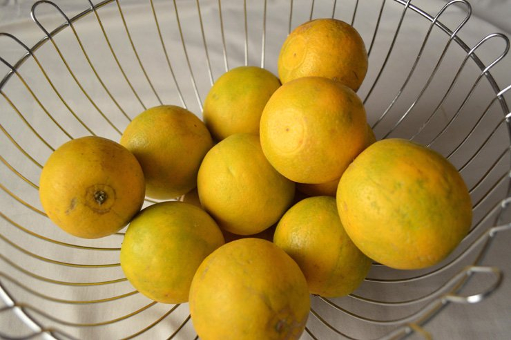 fruit fruits food healthy health lemon metal bowl vitamin