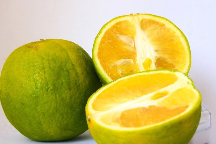 fruit fruits food healthy health orange vitamin foods