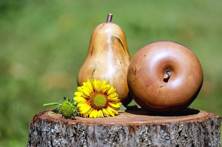 fruit fruits food healthy health pear pears wood wooden branch sunflower garden