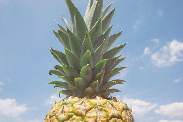 fruit fruits food healthy health pineapple sky