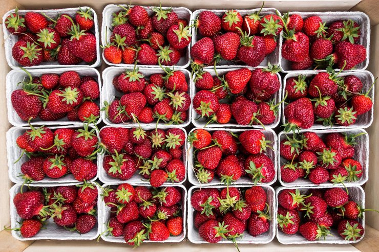 fruit fruits food healthy health strawberry basket