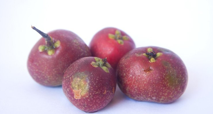 fruit fruits health healthy vitamin food foods