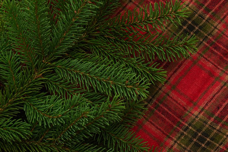 holidays eve snow christmas xmas holiday tree decoration decorations new year joy happy happiness pattern