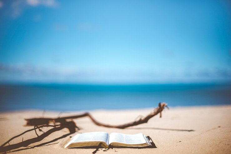 nature vacation travel book read reading beach sea sky ocean sand